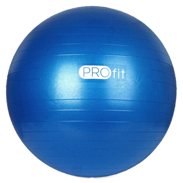 Piłka gimnastyczna Profit 55 cm niebieska z pompką DK 2102 Fitness