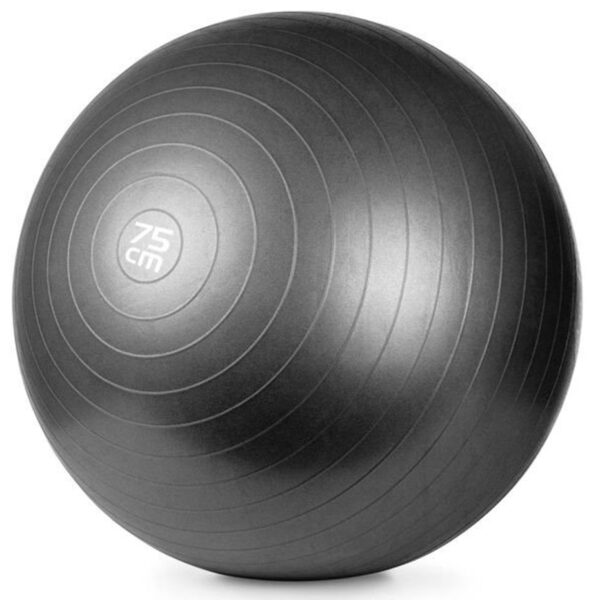Piłka gimnastyczna Meteor z pompką 75 cm czarna 31134 Fitness