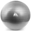 Piłka gimnastyczna Spokey Fitball III 65 cm szara 921021 Fitness