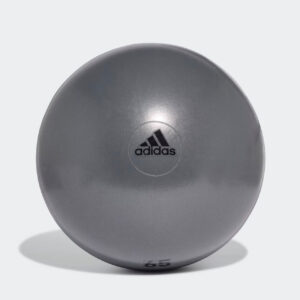 Gym & Training Ball Accessories